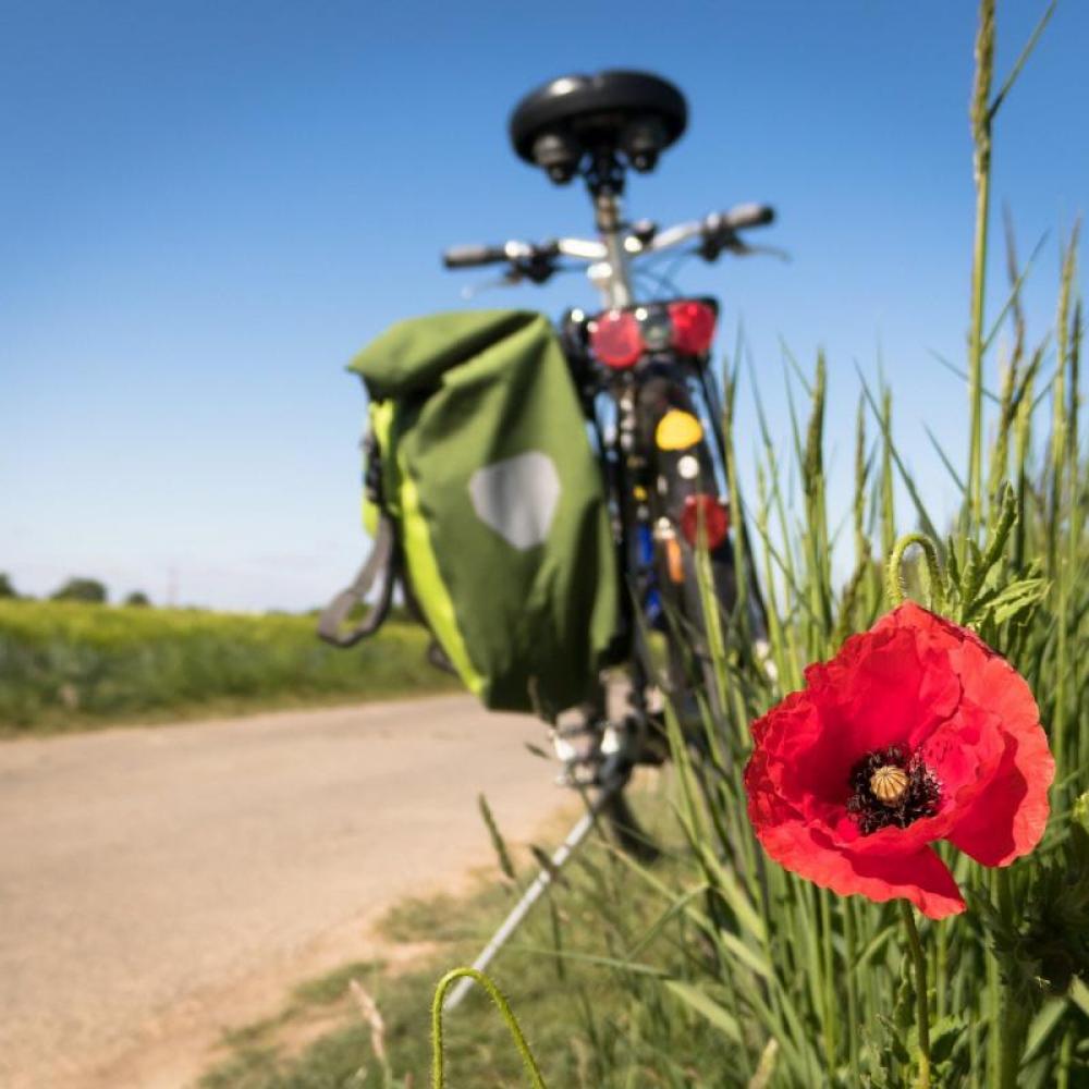 Im Sommer sind Radtouren fast schon ein Muss